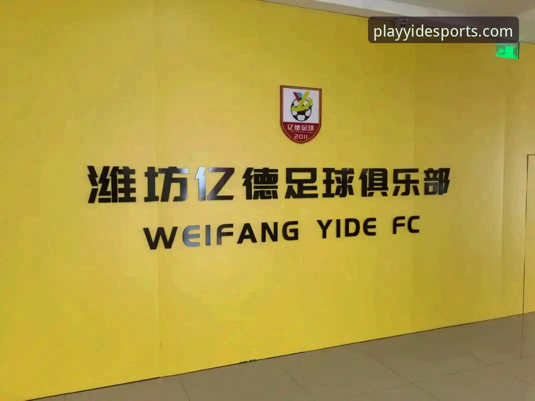 亿德体育追踪赛事 资深用户分享亿德体育追踪赛事实战经验:从新手到专家的数据驱动之旅